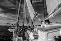 Maine schooner sailing